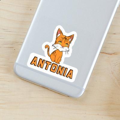 Cat Sticker Antonia Gift package Image