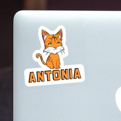 Antonia Sticker Katze Notebook Image