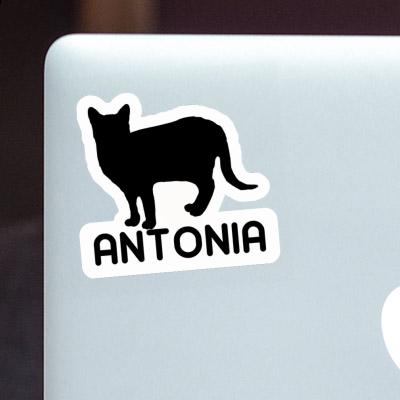 Antonia Aufkleber Katze Laptop Image