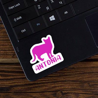 Antonia Sticker Katze Image