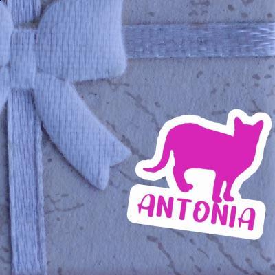 Antonia Sticker Katze Gift package Image