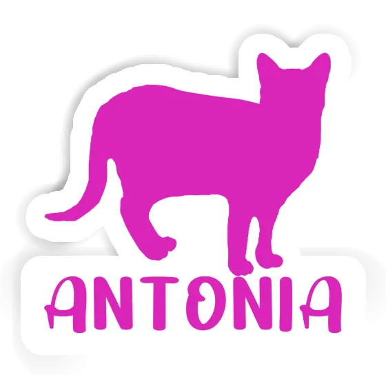 Sticker Cat Antonia Gift package Image