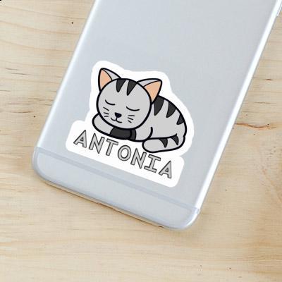 Aufkleber Katze Antonia Gift package Image