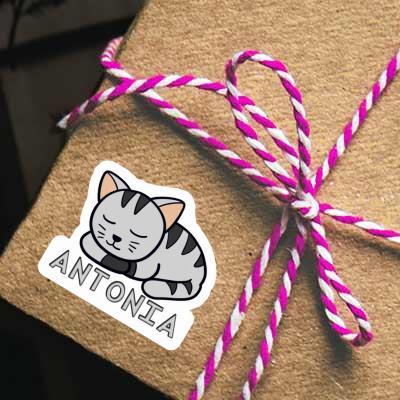 Cat Sticker Antonia Laptop Image