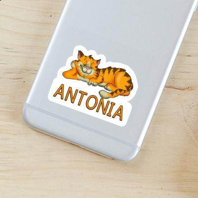 Sticker Cat Antonia Gift package Image