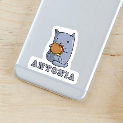 Antonia Sticker Hamburger Cat Gift package Image