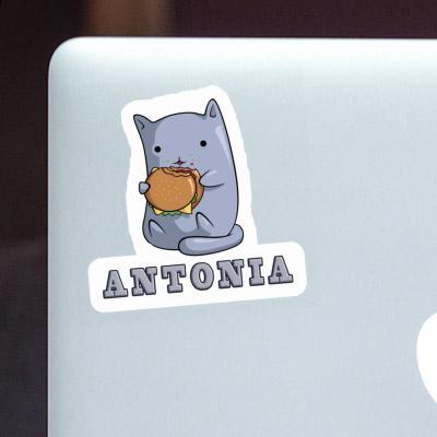 Antonia Sticker Hamburger Cat Laptop Image