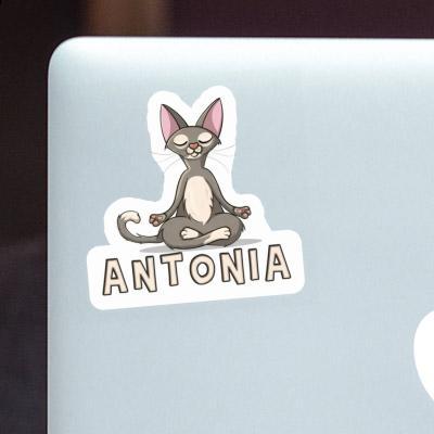 Sticker Yoga Cat Antonia Laptop Image