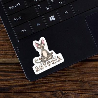 Sticker Yoga Cat Antonia Laptop Image