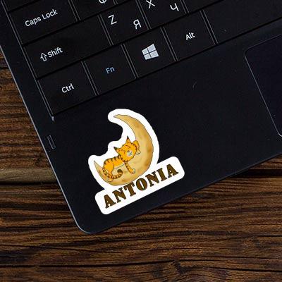 Antonia Sticker Sleeping Cat Laptop Image