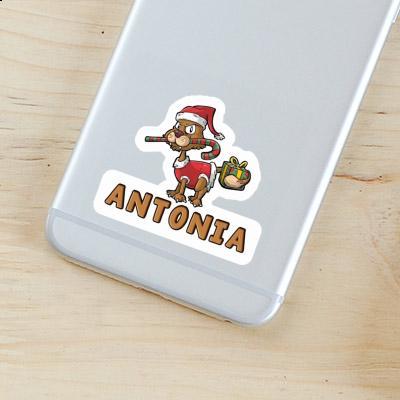 Christmas Cat Sticker Antonia Gift package Image