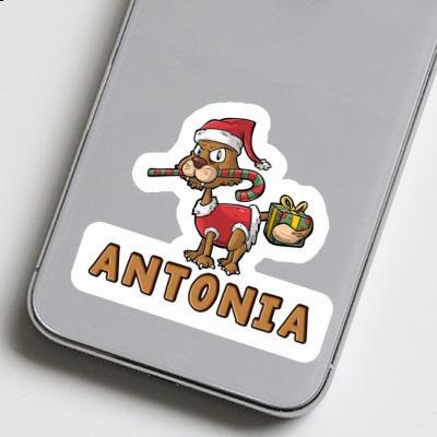 Autocollant Antonia Chat Laptop Image