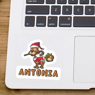 Christmas Cat Sticker Antonia Notebook Image