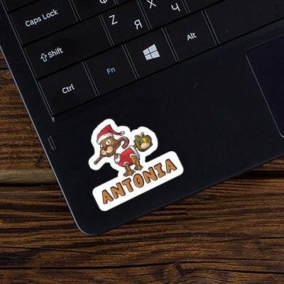 Christmas Cat Sticker Antonia Laptop Image