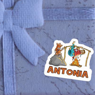 Sticker Antonia Cervelat Laptop Image