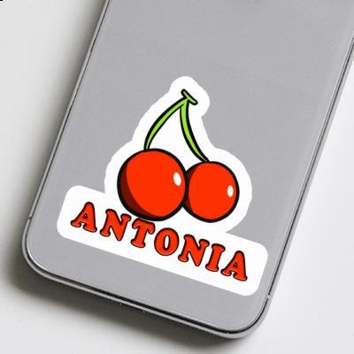 Antonia Autocollant Cerise Laptop Image