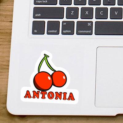 Kirsche Sticker Antonia Laptop Image