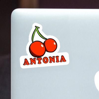 Cherry Sticker Antonia Laptop Image