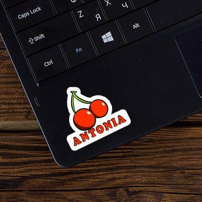 Cherry Sticker Antonia Gift package Image