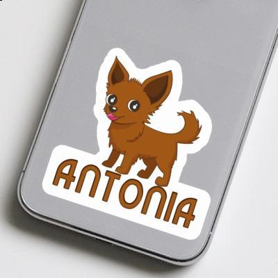 Chihuahua Sticker Antonia Notebook Image