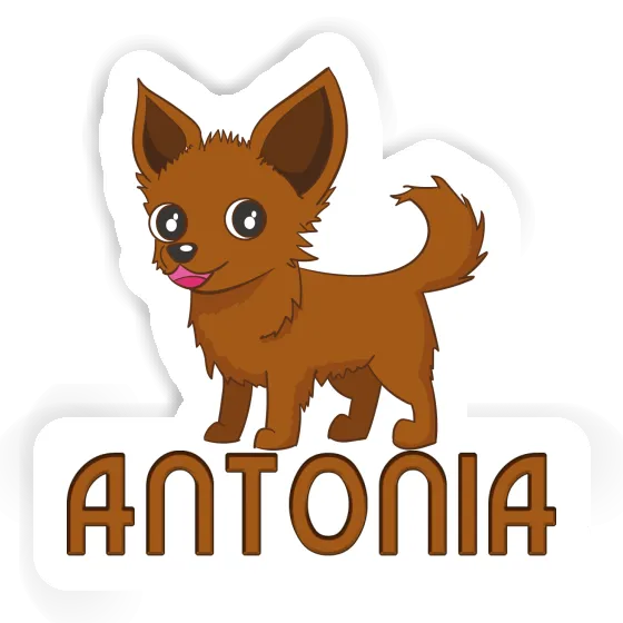 Autocollant Chihuahua Antonia Laptop Image