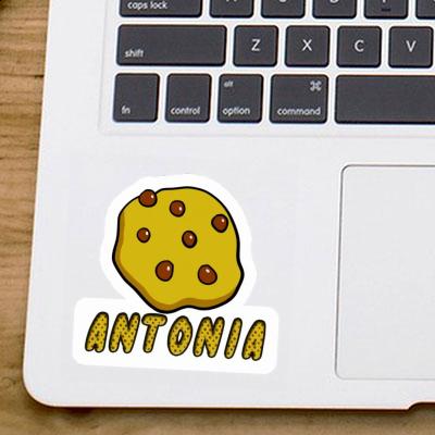 Autocollant Antonia Biscuit Image