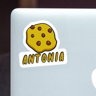 Antonia Sticker Cookie Notebook Image