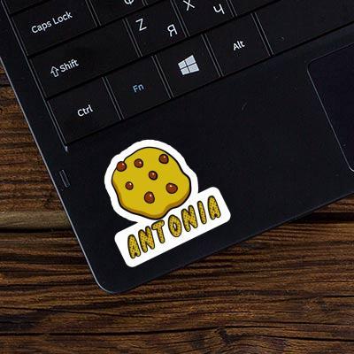 Antonia Sticker Cookie Laptop Image