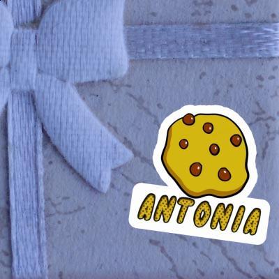 Antonia Sticker Cookie Image