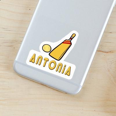 Sticker Cricket Bat Antonia Laptop Image