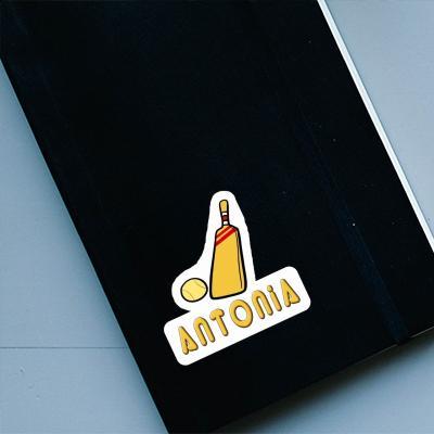 Sticker Cricket Bat Antonia Laptop Image