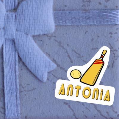 Sticker Cricket Bat Antonia Laptop Image