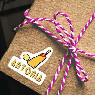 Sticker Cricket Bat Antonia Gift package Image