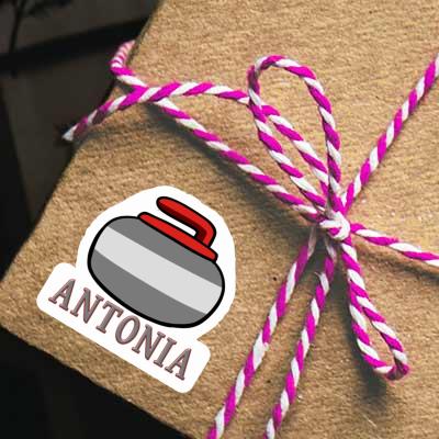 Sticker Curling Stone Antonia Gift package Image