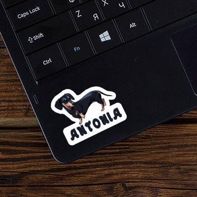 Sticker Antonia Dachshund Image