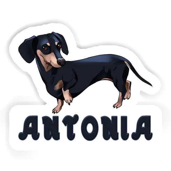 Sticker Antonia Dachshund Notebook Image