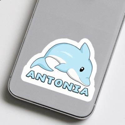 Sticker Delfin Antonia Laptop Image