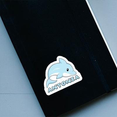 Antonia Sticker Dolphin Notebook Image