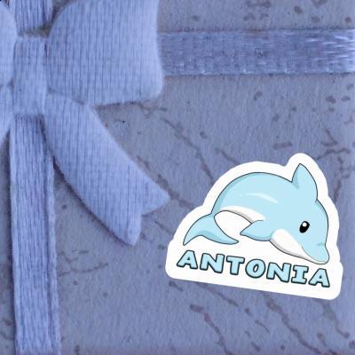 Antonia Sticker Dolphin Notebook Image