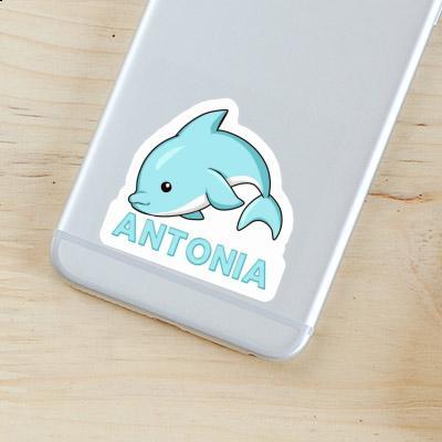 Antonia Sticker Dolphin Image