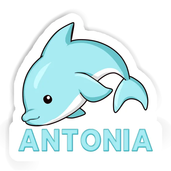 Antonia Sticker Dolphin Gift package Image