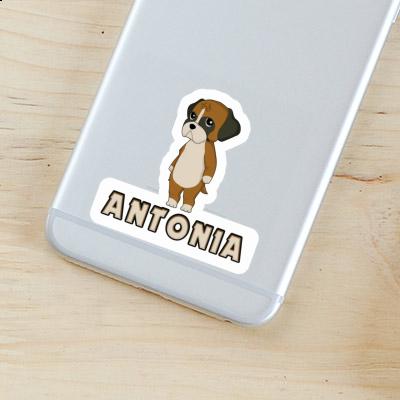 Sticker Deutscher Boxer Antonia Laptop Image