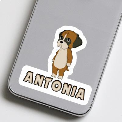 Sticker Deutscher Boxer Antonia Gift package Image