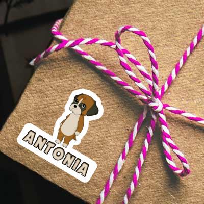 Sticker Deutscher Boxer Antonia Notebook Image