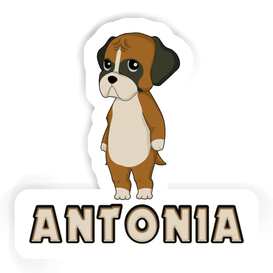 Sticker German Boxer Antonia Laptop Image