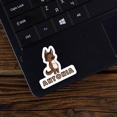 Antonia Sticker German Sheperd Gift package Image