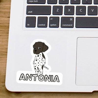 Antonia Sticker GSP Gift package Image