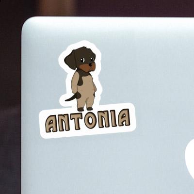 Sticker German Wirehaired Antonia Notebook Image