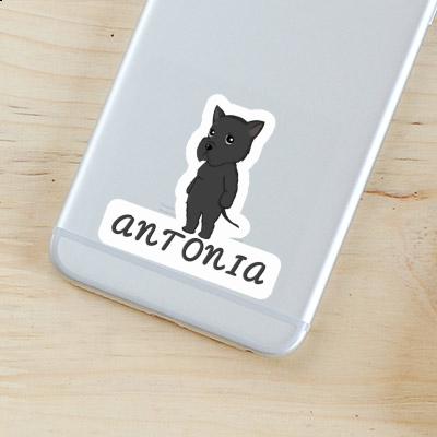 Sticker Giant Schnauzer Antonia Gift package Image