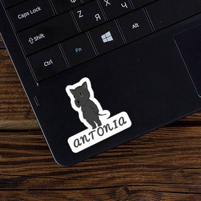 Sticker Giant Schnauzer Antonia Laptop Image